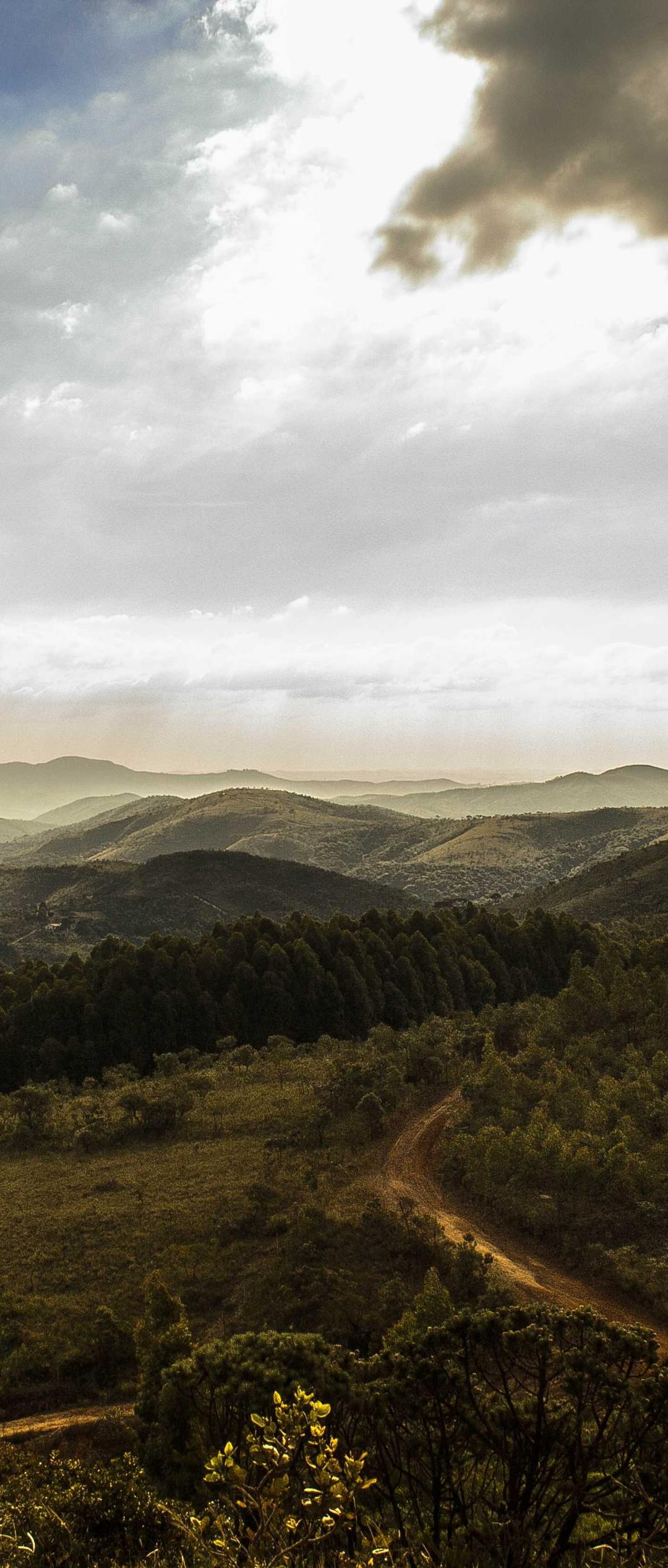 花卉壁纸 - 花卉高清手机壁纸