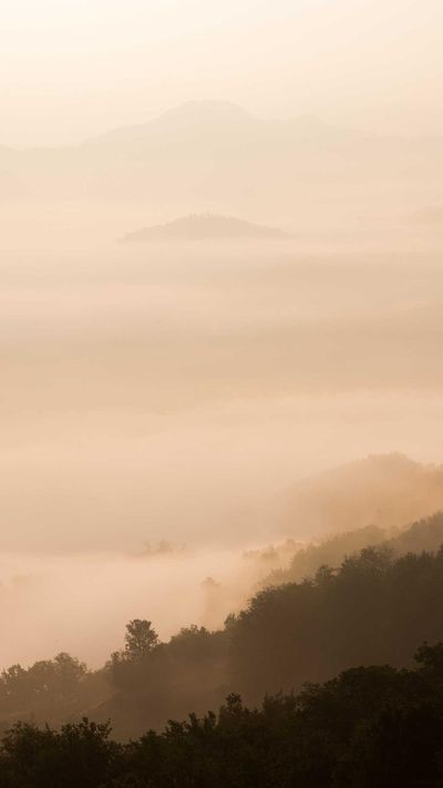 暗黑壁纸