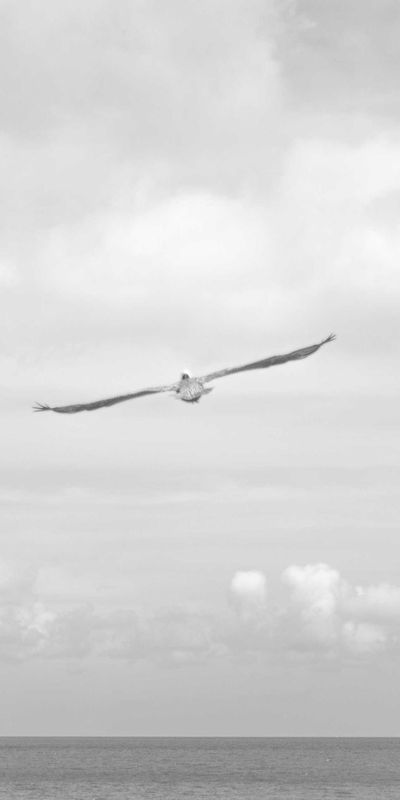 渐变壁纸