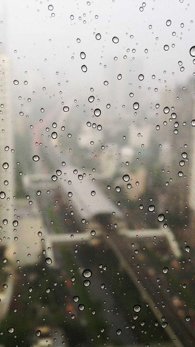 节日壁纸
