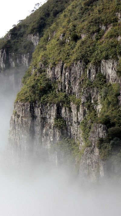 自然壁纸