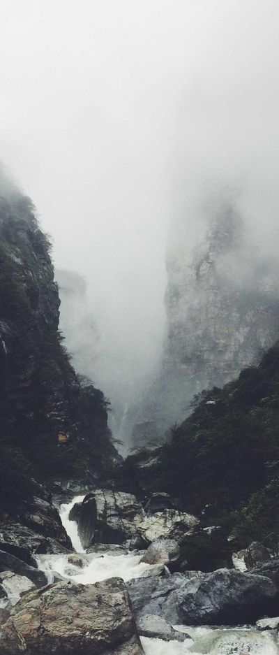 自然壁纸