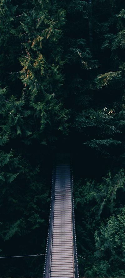 动漫壁纸