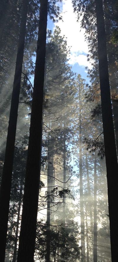 风景壁纸