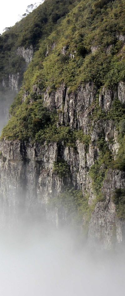 咖啡香气