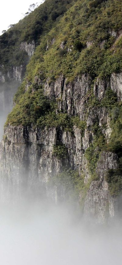 壁纸