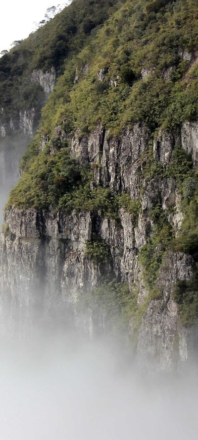壁纸