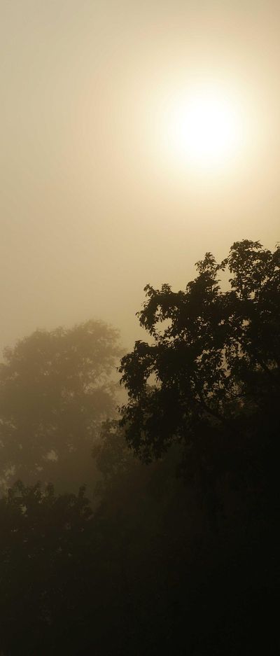 壁纸