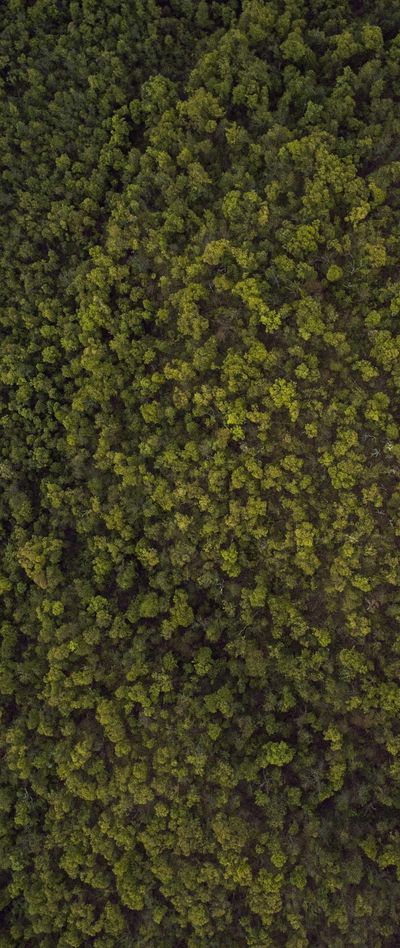 壁纸