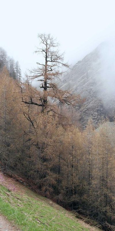 壁纸