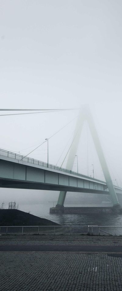 壁纸