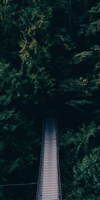 壁纸