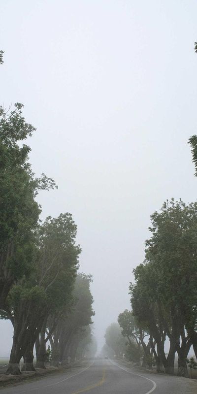 壁纸