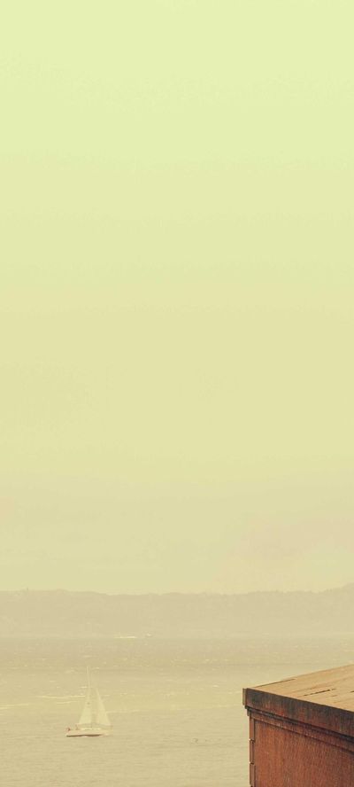 壁纸