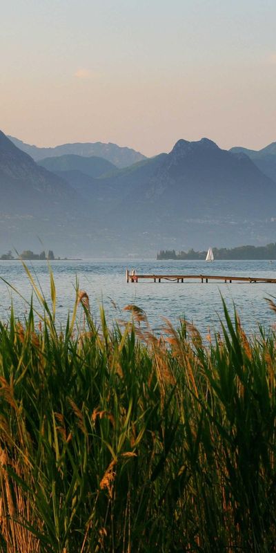 壁纸