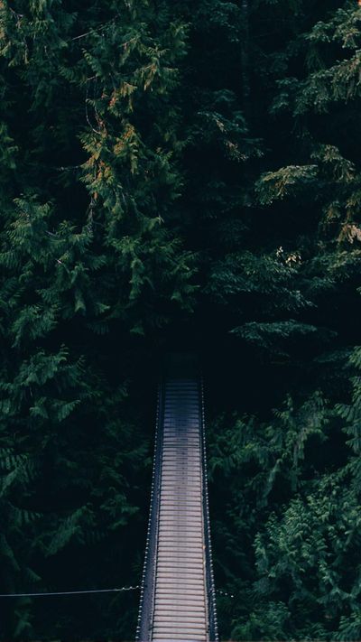 壁纸