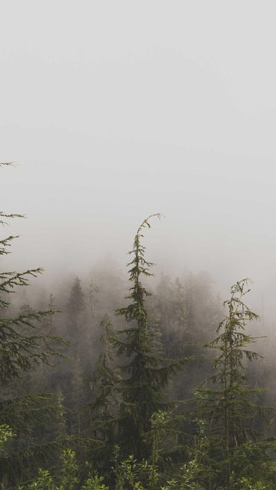 壁纸